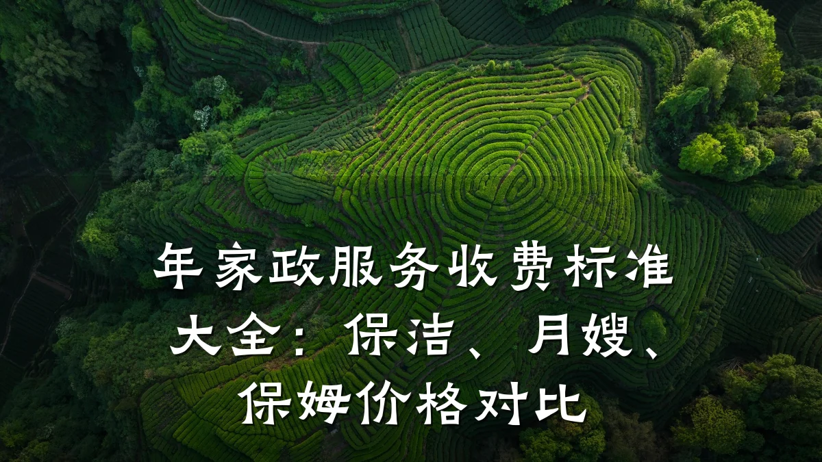 年家政服务收费标准大全:保洁、月嫂、保姆价格对比