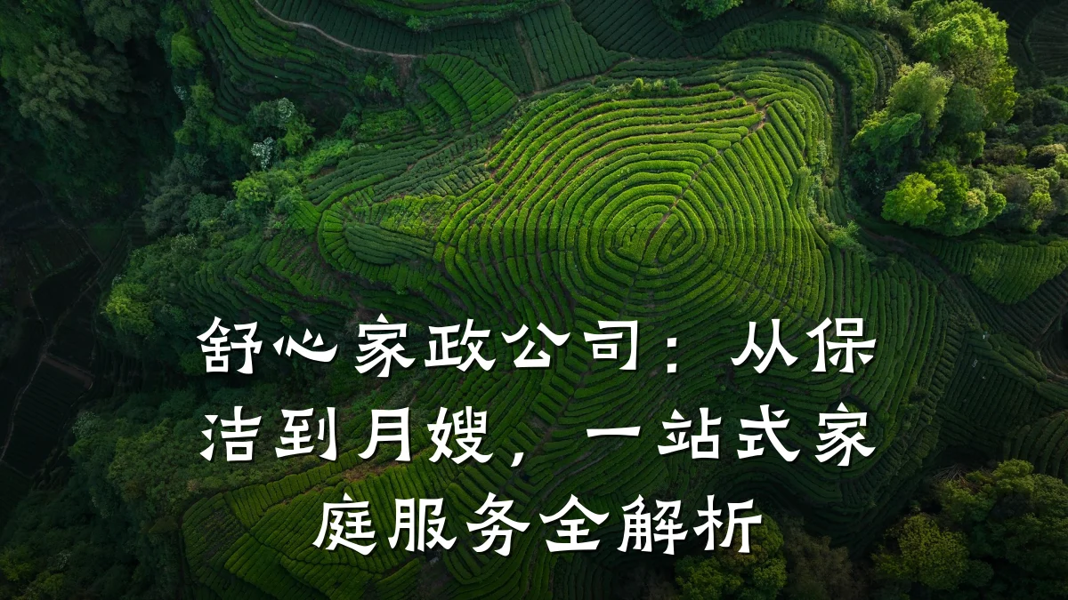 舒心家政公司：从保洁到月嫂，一站式家庭服务全解析