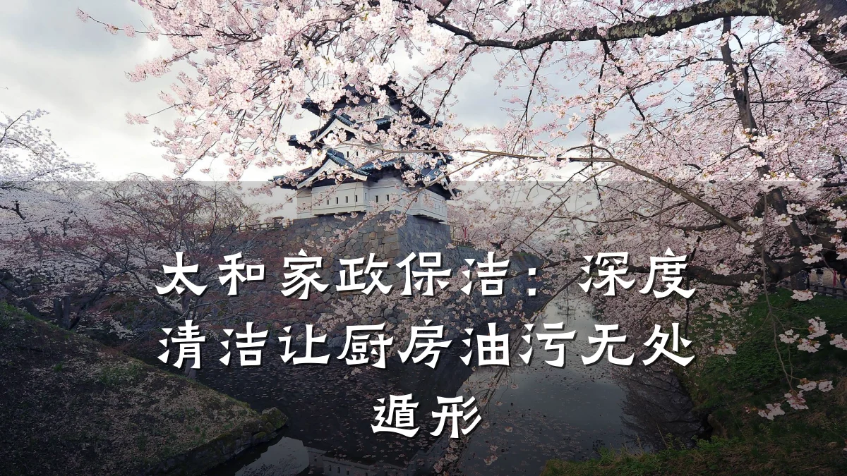 太和家政保洁：深度清洁让厨房油污无处遁形