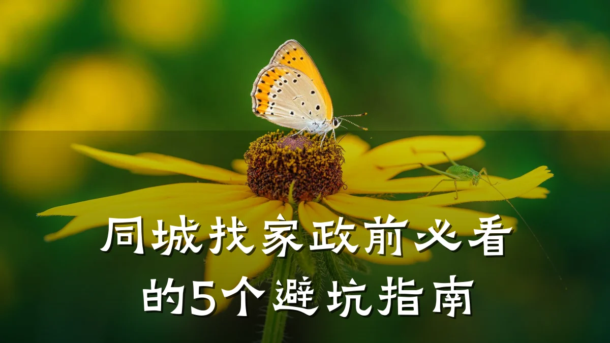 同城找家政前必看的5个避坑指南