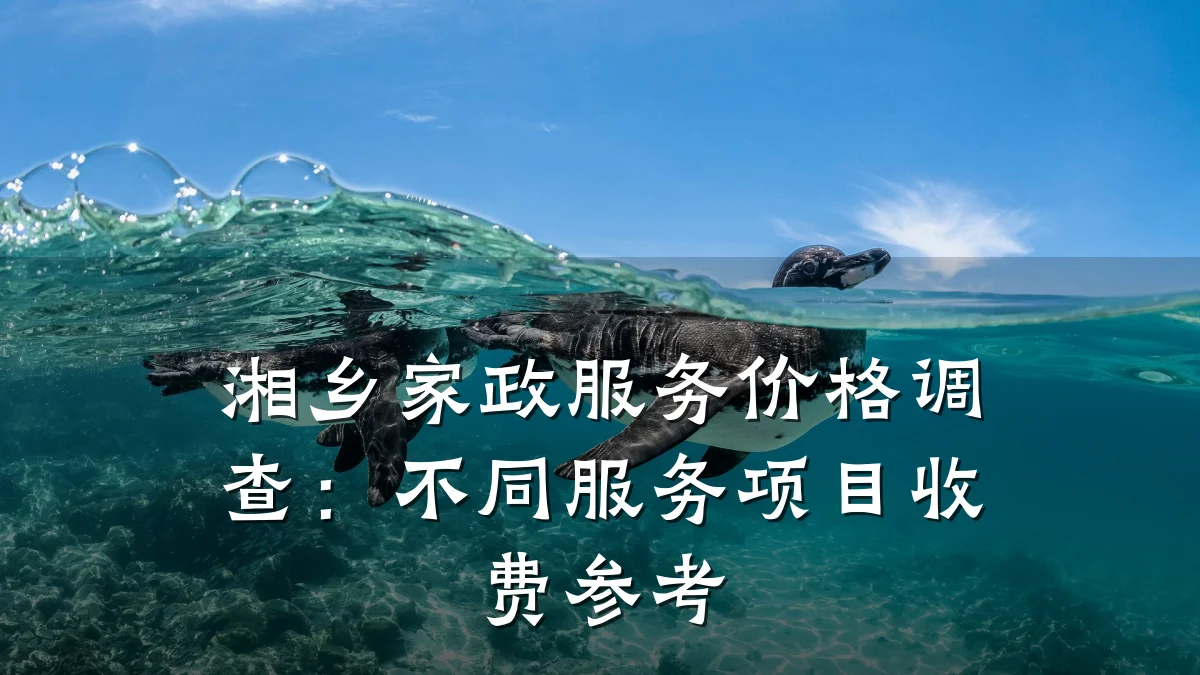 湘乡家政服务价格调查：不同服务项目收费参考