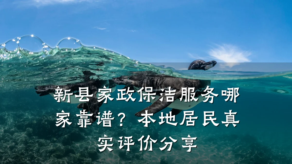 新县家政保洁服务哪家靠谱？本地居民真实评价分享