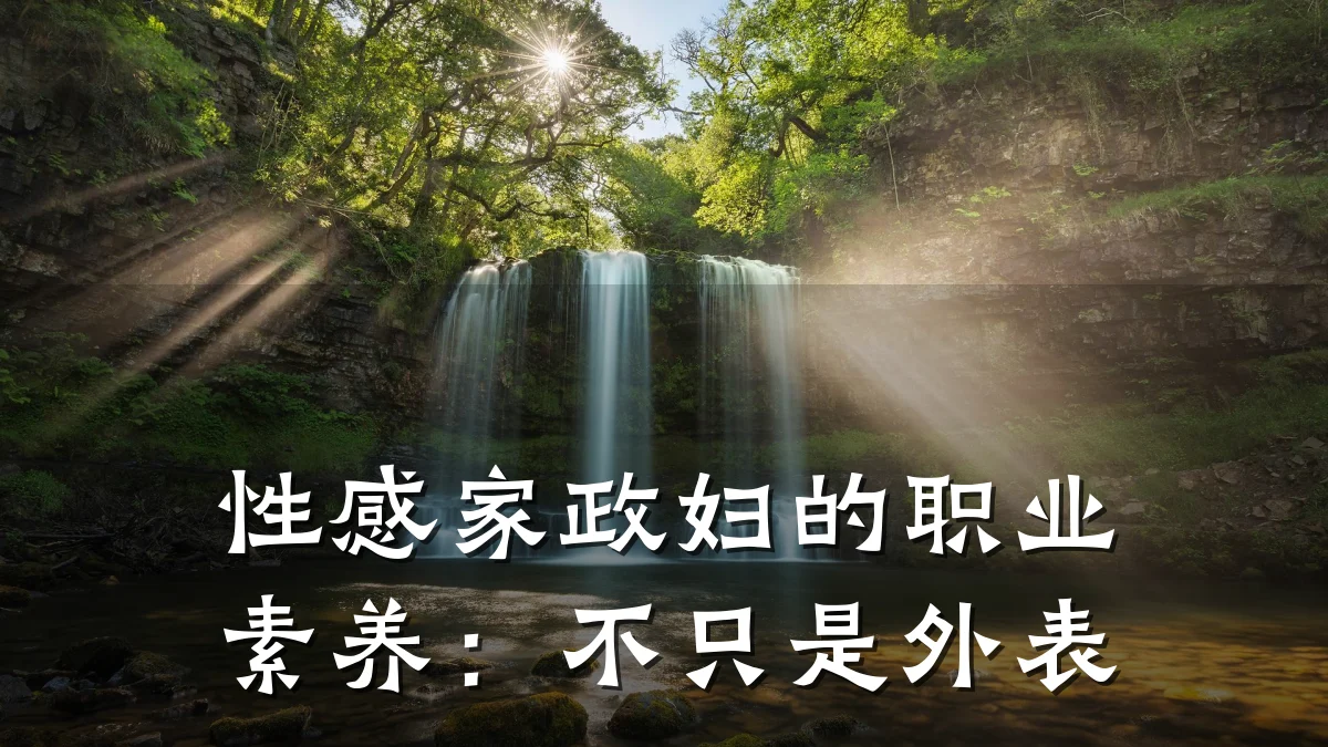 性感家政妇的职业素养:不只是外表