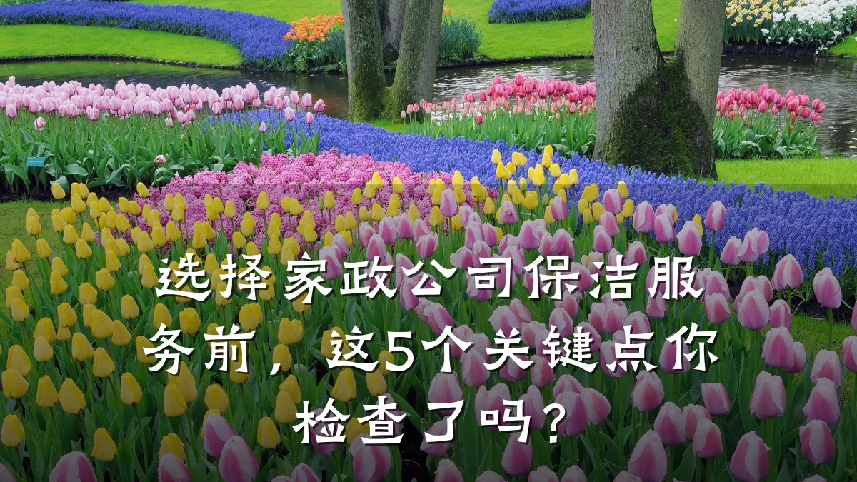 选择家政公司保洁服务前,这5个关键点你检查了吗?