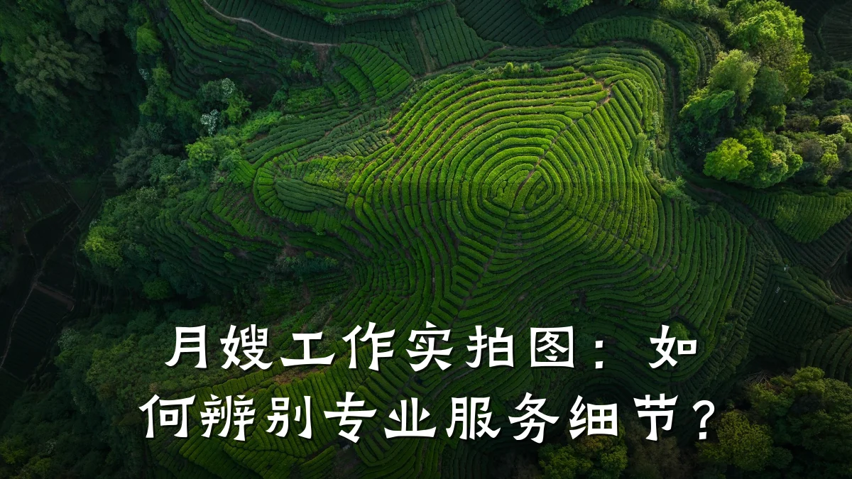 月嫂工作实拍图：如何辨别专业服务细节？