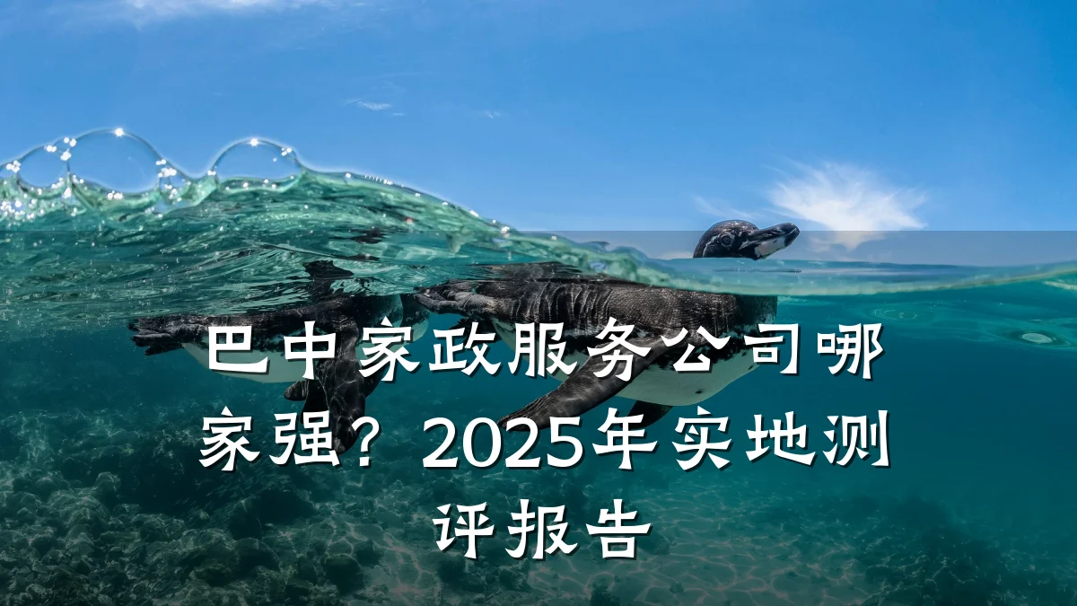 巴中家政服务公司哪家强？2025年实地测评报告