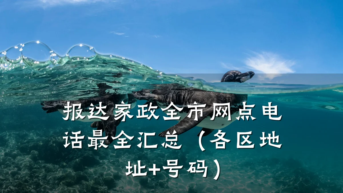 报达家政全市网点电话最全汇总（各区地址+号码）