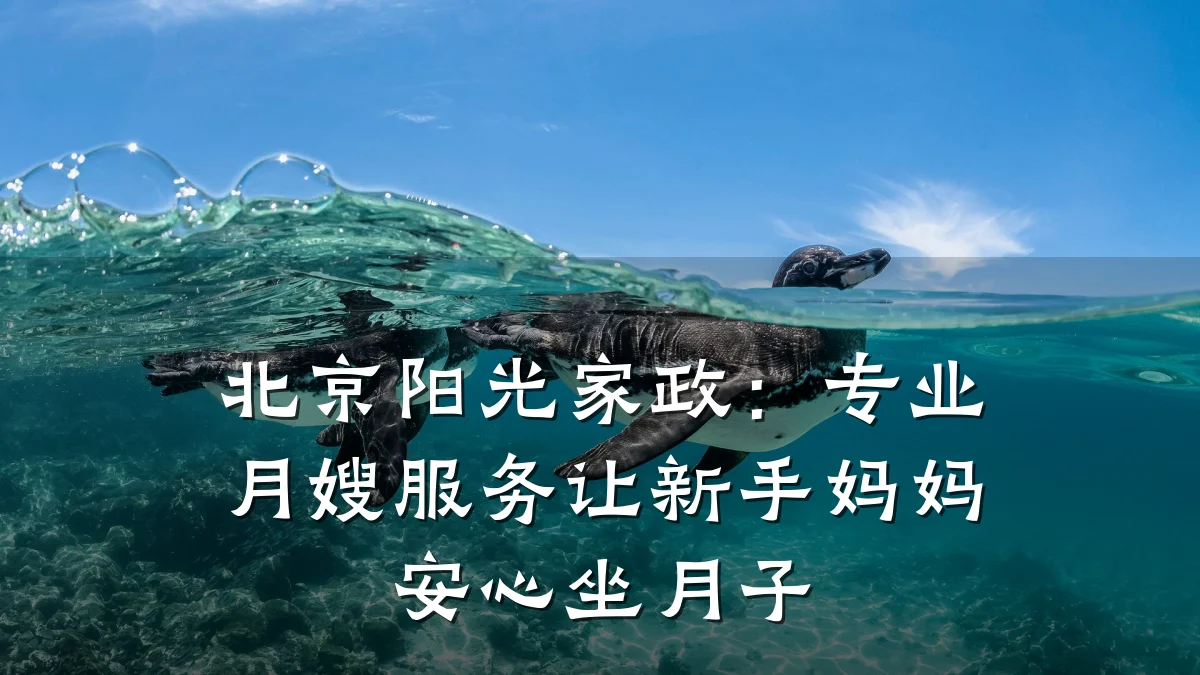 北京阳光家政：专业月嫂服务让新手妈妈安心坐月子