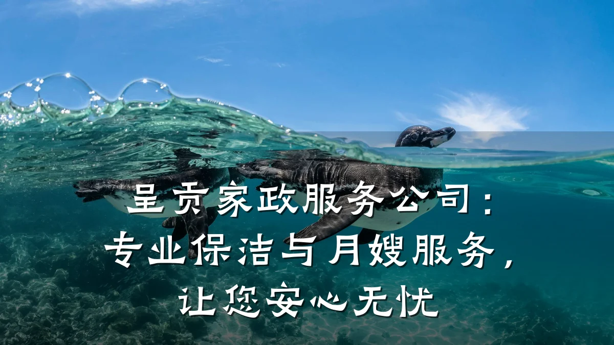 呈贡家政服务公司：专业保洁与月嫂服务，让您安心无忧