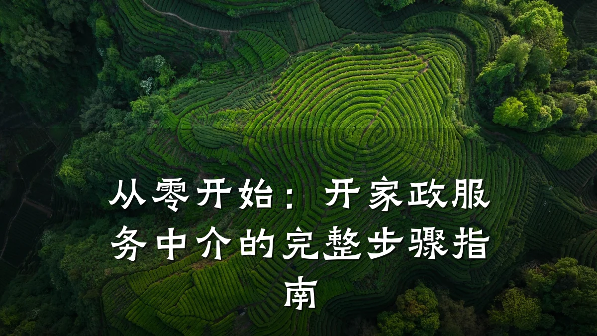 从零开始：开家政服务中介的完整步骤指南