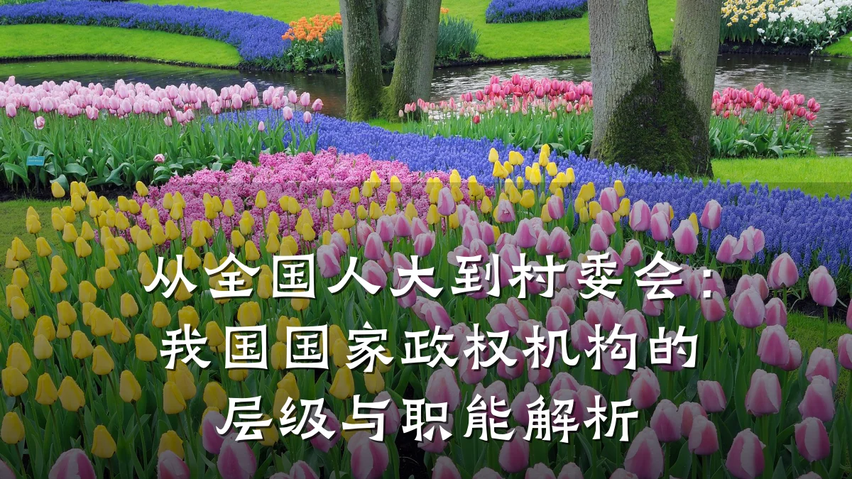 从全国人大到村委会：我国国家政权机构的层级与职能解析