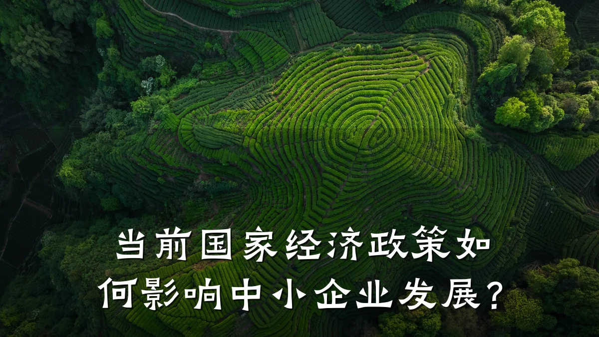 当前国家经济政策如何影响中小企业发展?