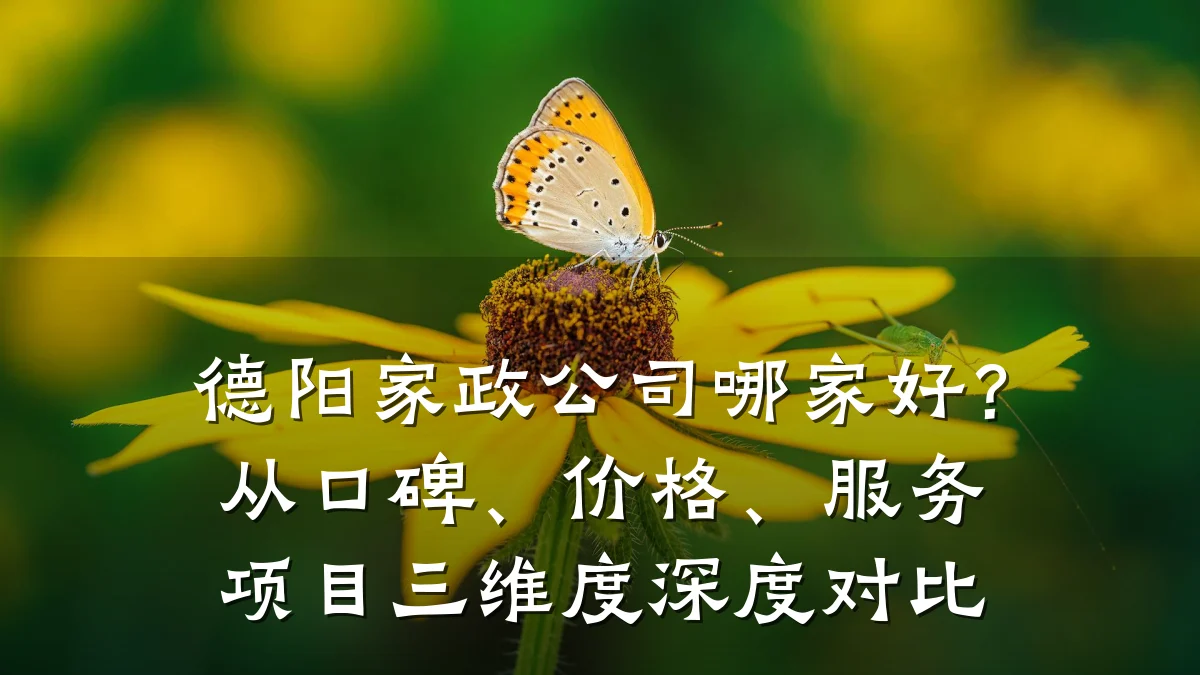 德阳家政公司哪家好?从口碑、价格、服务项目三维度深度对比
