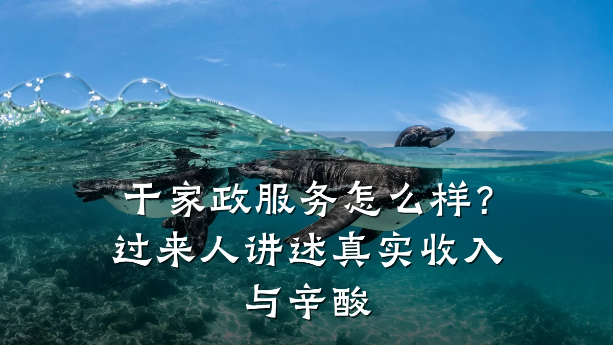 干家政服务怎么样？过来人讲述真实收入与辛酸