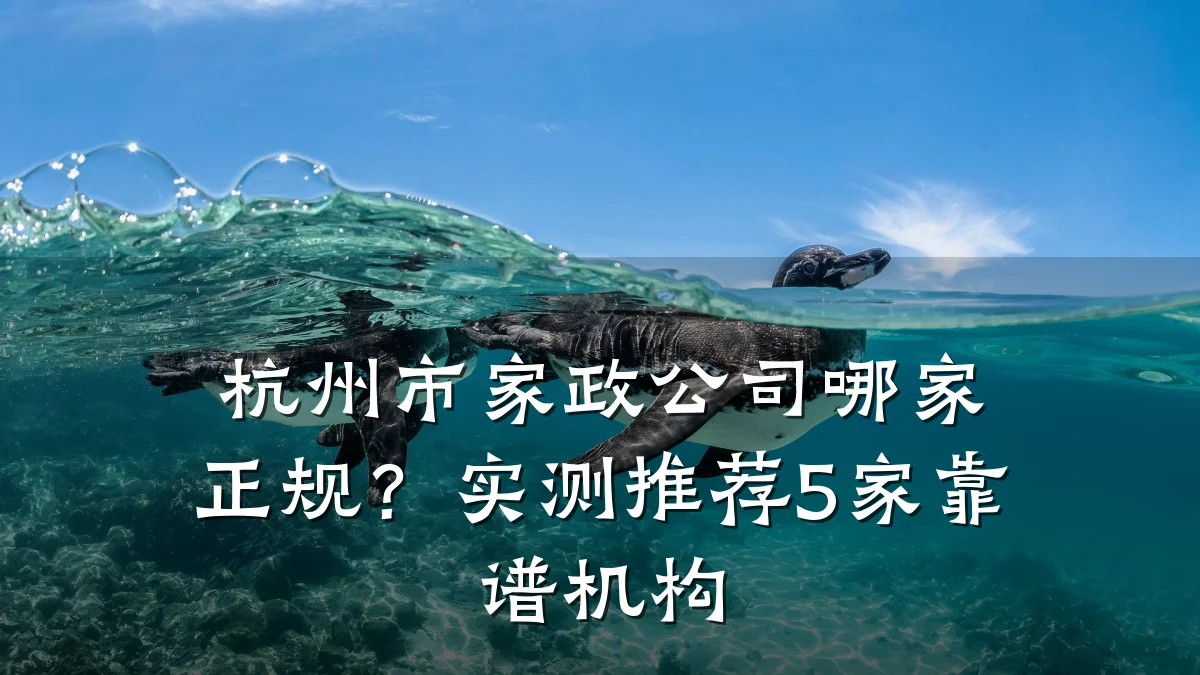 杭州市家政公司哪家正规？实测推荐5家靠谱机构