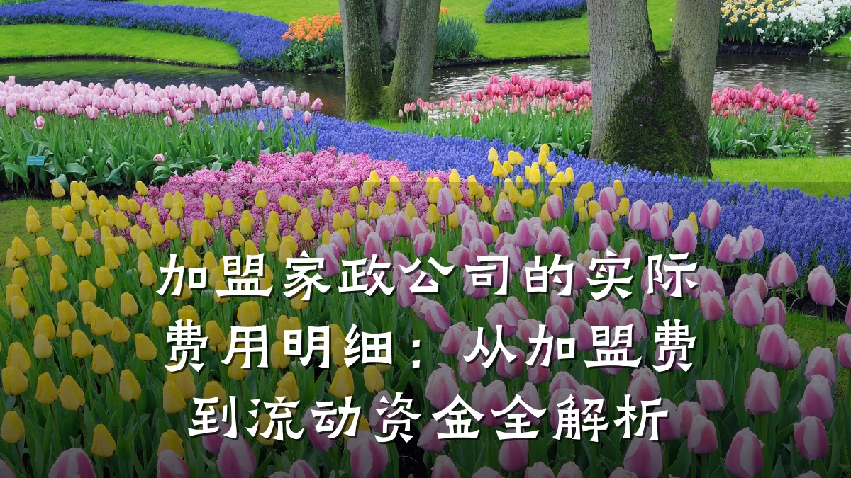 加盟家政公司的实际费用明细:从加盟费到流动资金全解析