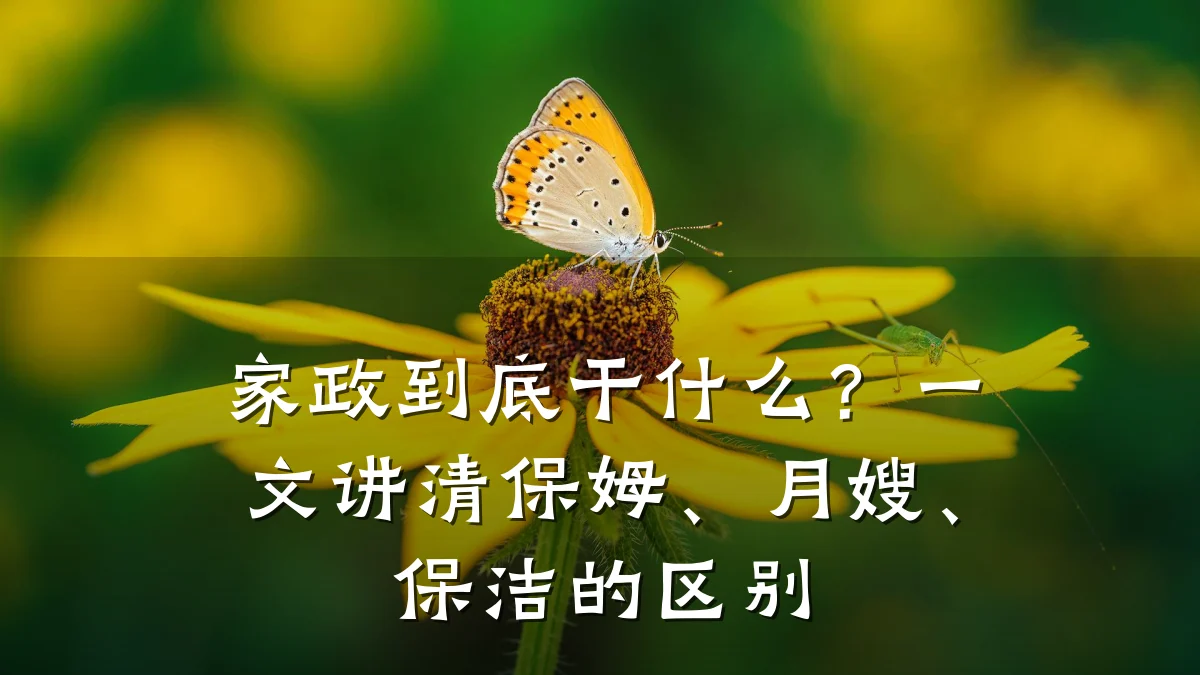 家政到底干什么？一文讲清保姆、月嫂、保洁的区别