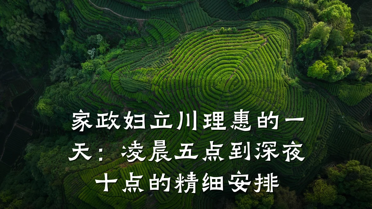 家政妇立川理惠的一天：凌晨五点到深夜十点的精细安排