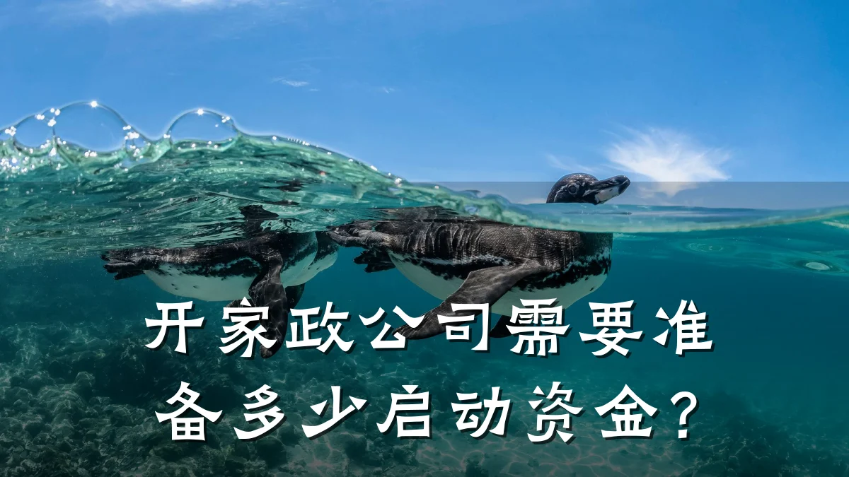 开家政公司需要准备多少启动资金？