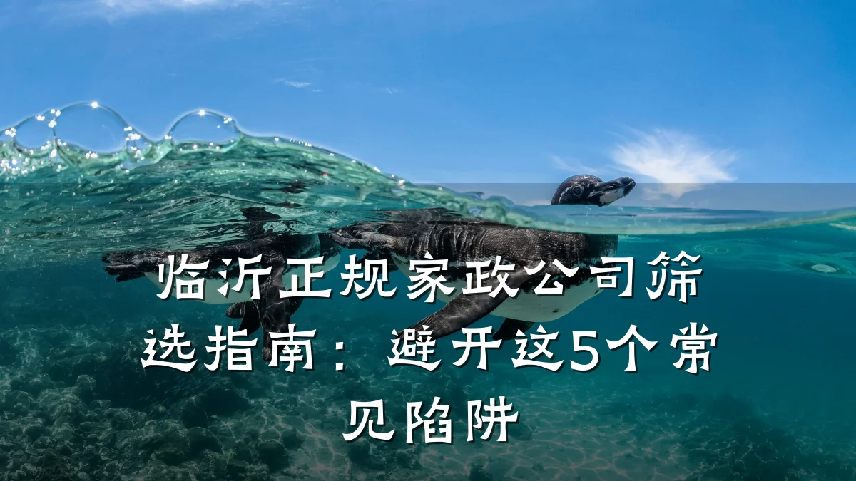 临沂正规家政公司筛选指南：避开这5个常见陷阱