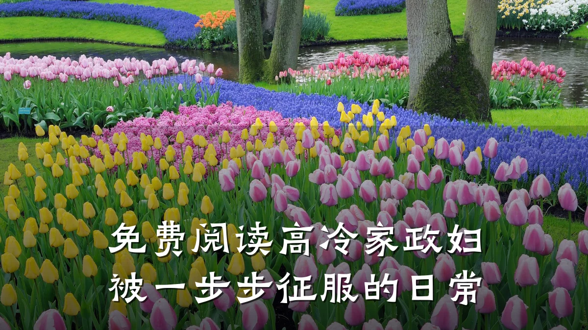 免费阅读高冷家政妇被一步步征服的日常