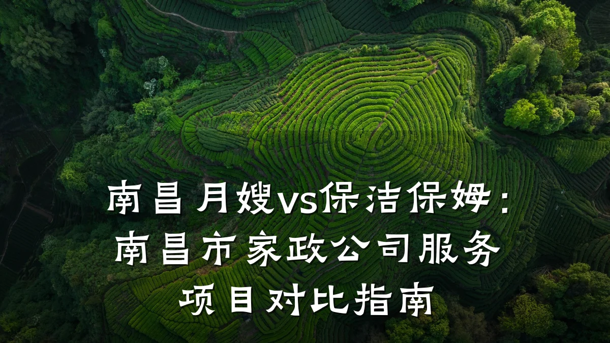 南昌月嫂vs保洁保姆：南昌市家政公司服务项目对比指南