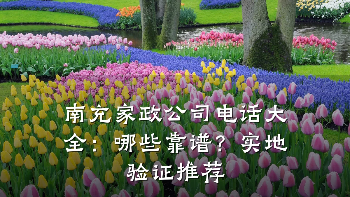 南充家政公司电话大全:哪些靠谱?实地验证推荐