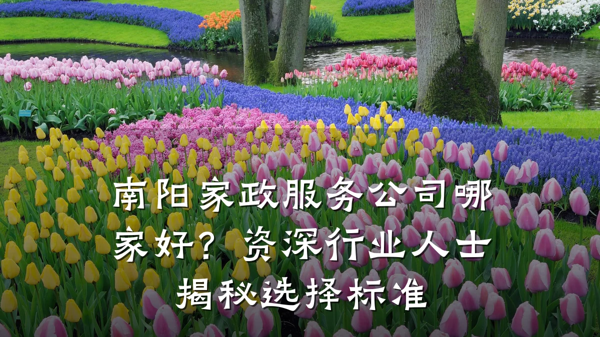 南阳家政服务公司哪家好?资深行业人士揭秘选择标准