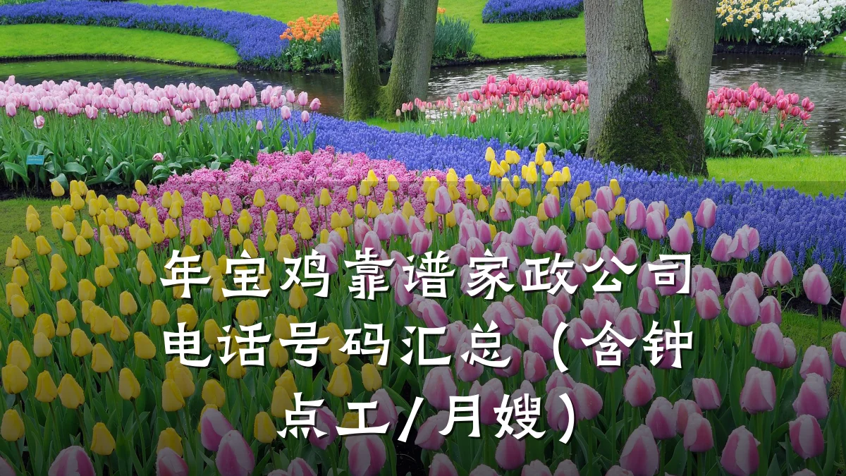 年宝鸡靠谱家政公司电话号码汇总(含钟点工/月嫂)