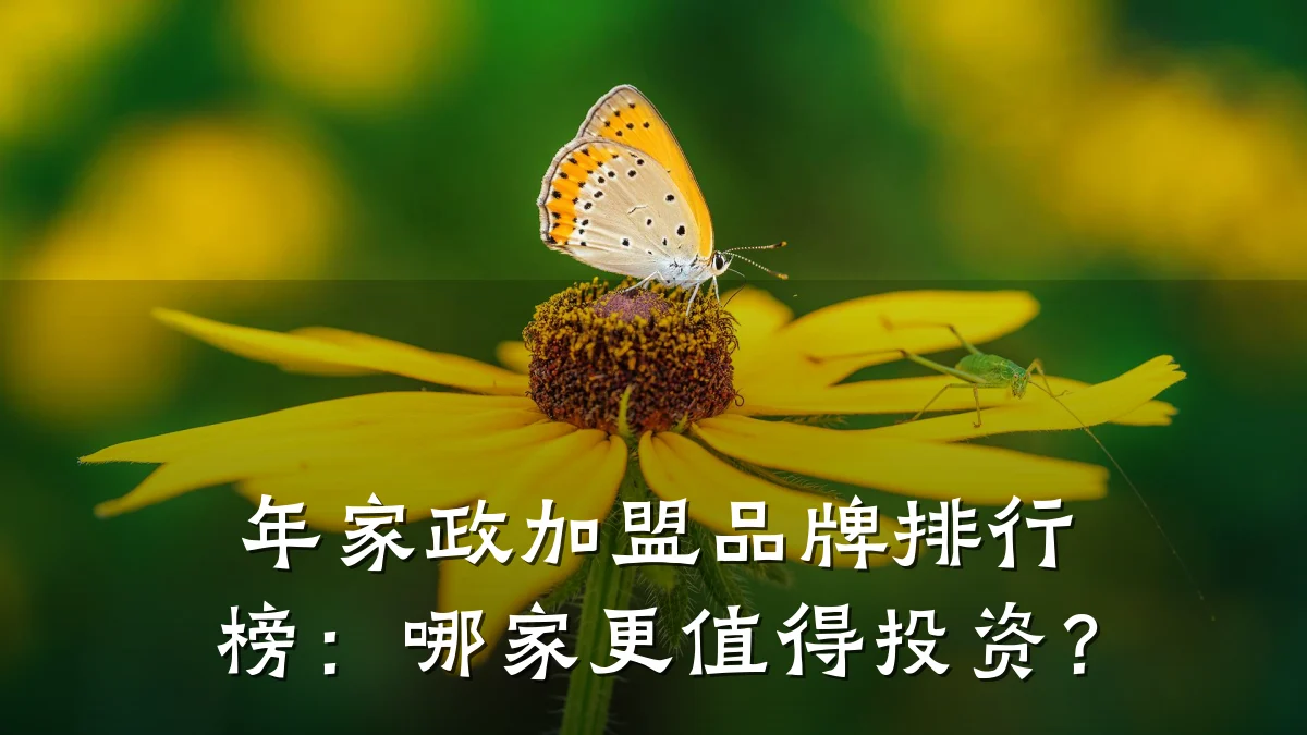 年家政加盟品牌排行榜：哪家更值得投资？