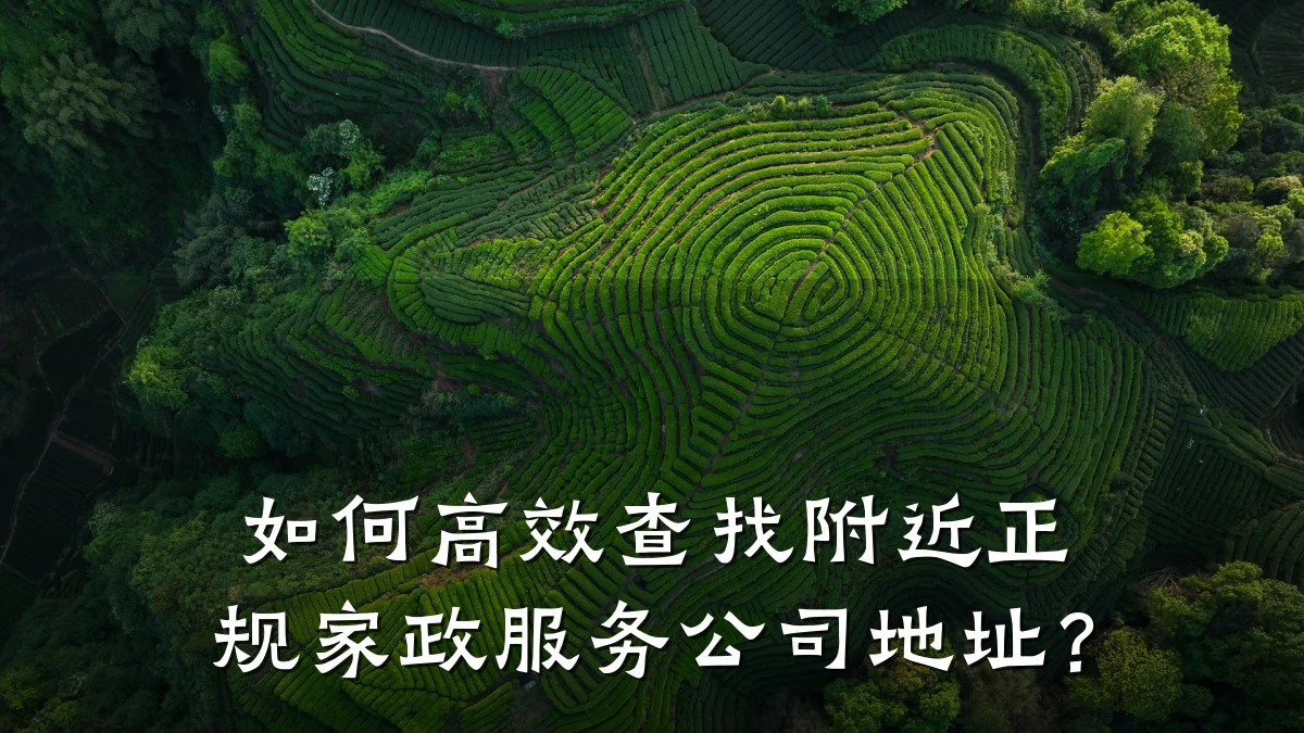 如何高效查找附近正规家政服务公司地址？