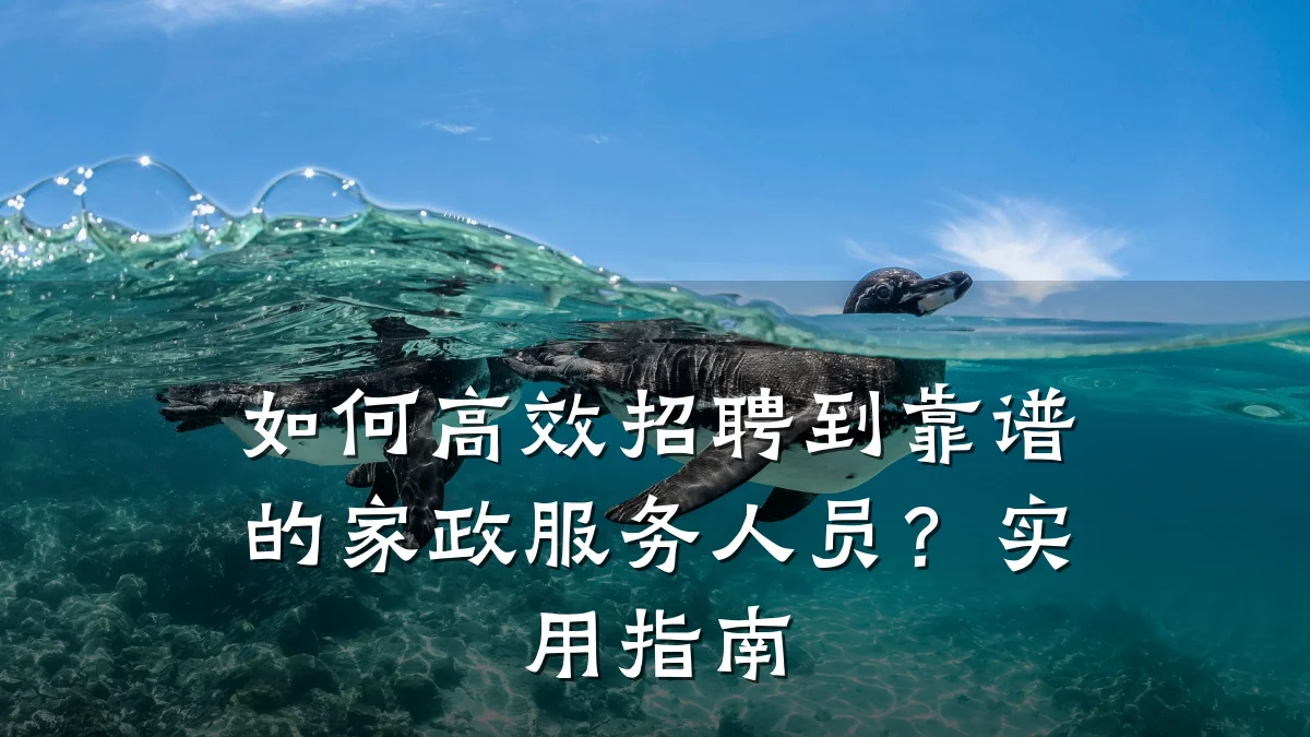 如何高效招聘到靠谱的家政服务人员？实用指南