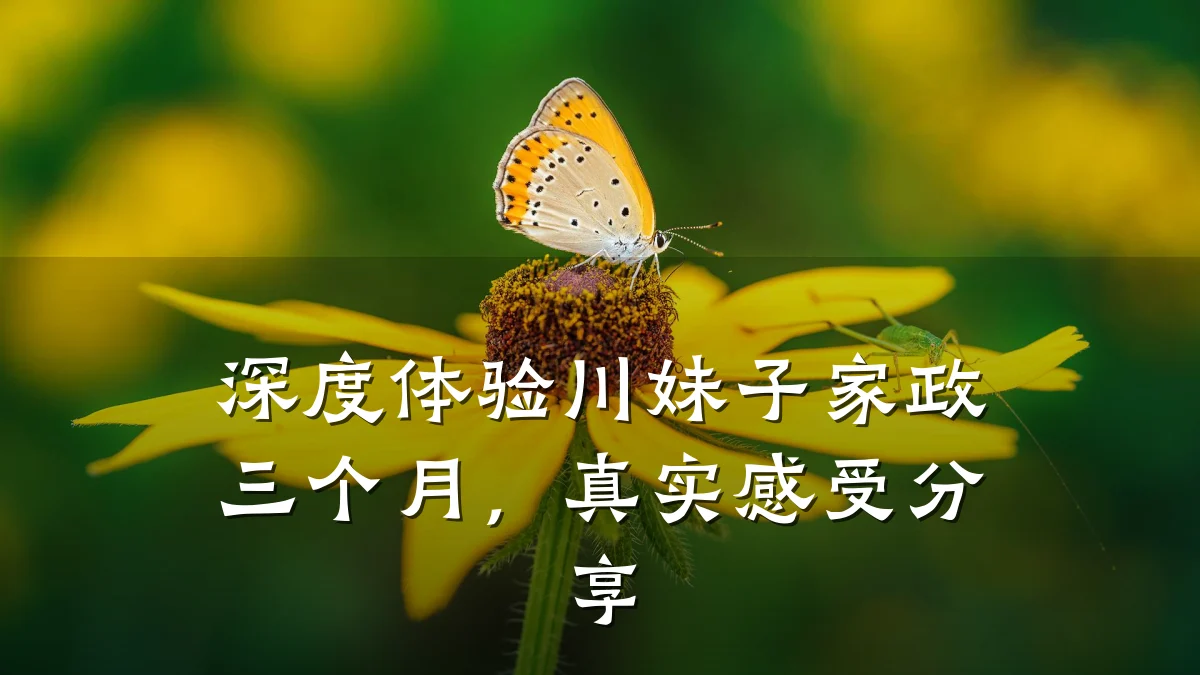 深度体验川妹子家政三个月,真实感受分享