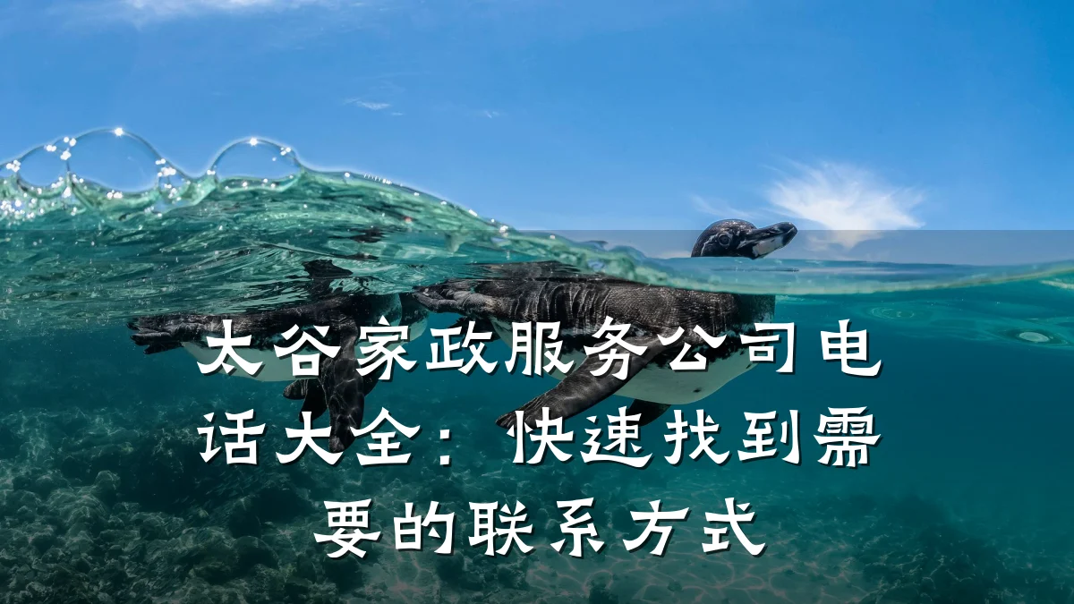 太谷家政服务公司电话大全：快速找到需要的联系方式