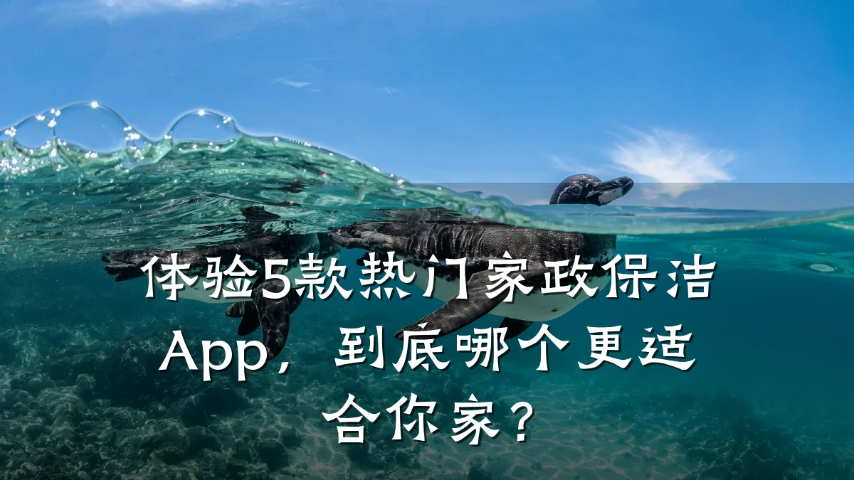 体验5款热门家政保洁App，到底哪个更适合你家？