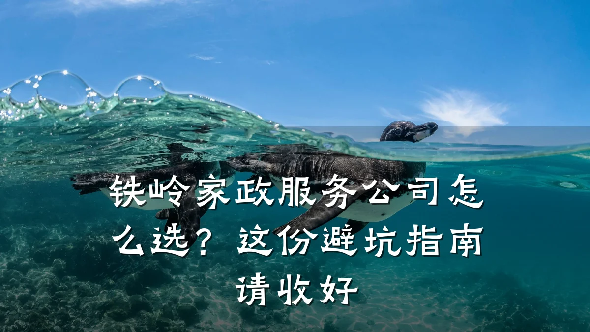 铁岭家政服务公司怎么选？这份避坑指南请收好