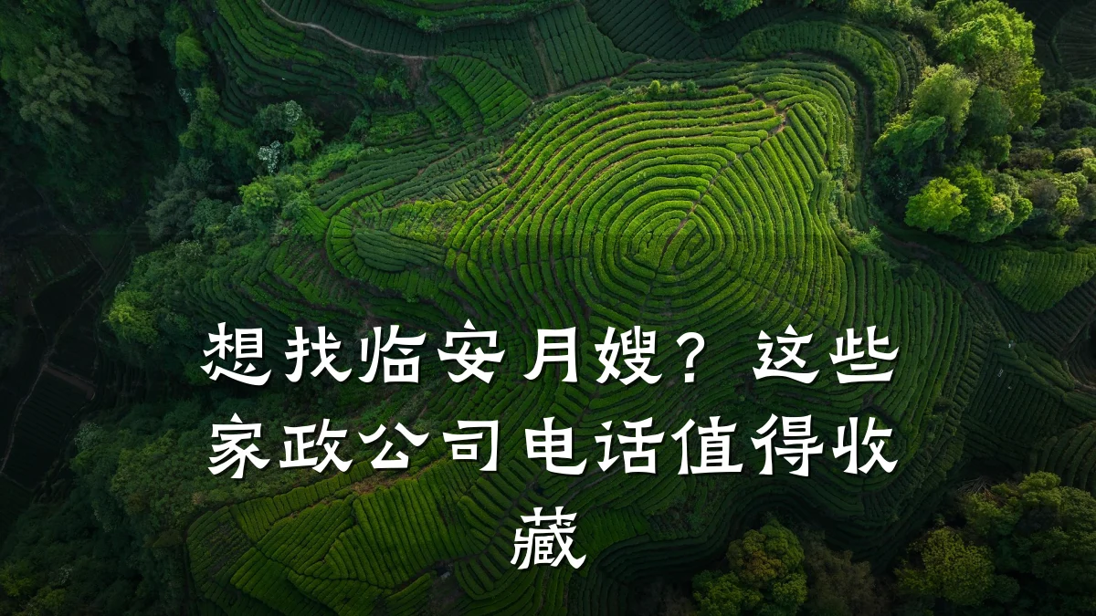 想找临安月嫂?这些家政公司电话值得收藏