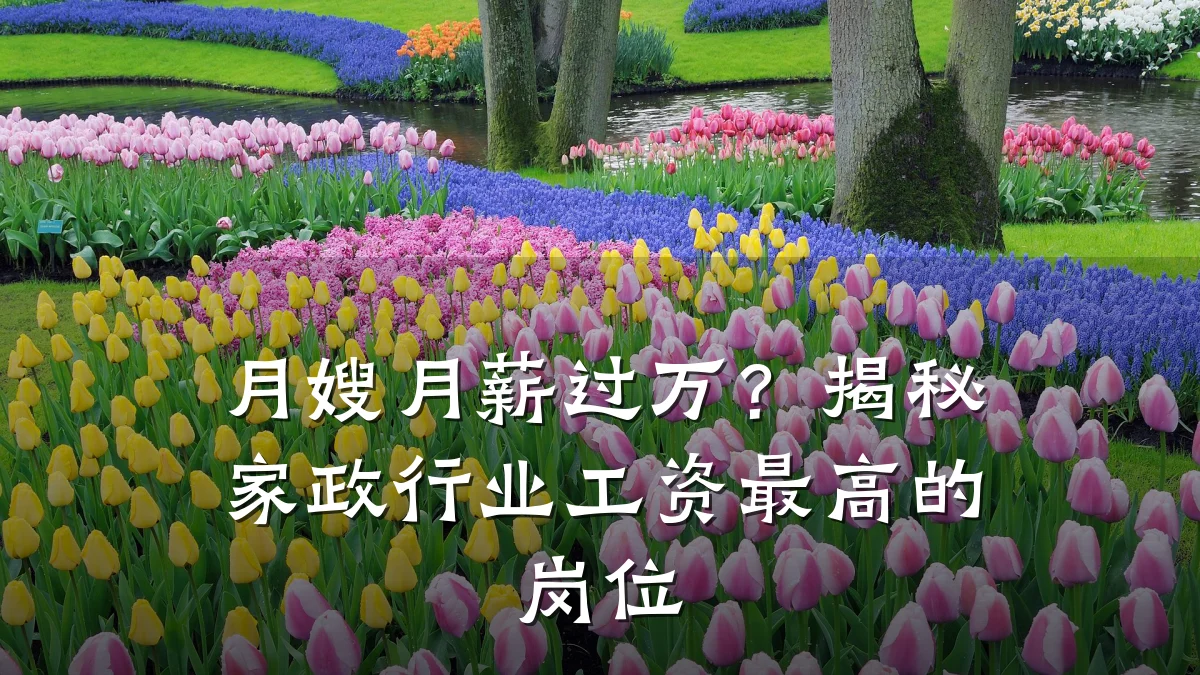 月嫂月薪过万?揭秘家政行业工资最高的岗位