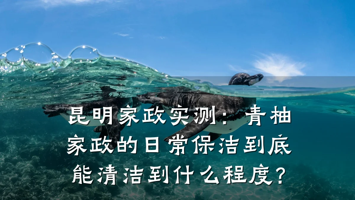 昆明家政实测:青柚家政的日常保洁到底能清洁到什么程度?