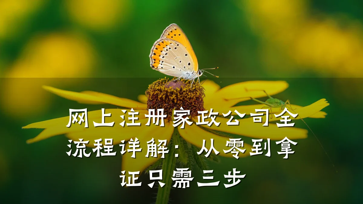 网上注册家政公司全流程详解：从零到拿证只需三步